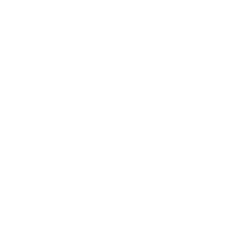 Anthropic